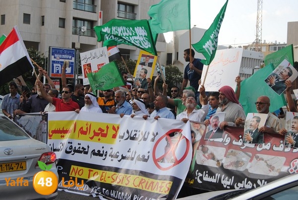 td egypt empassy 814 (58).JPG